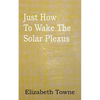 Just How To Wake The Solar Plexus - Paperback
