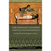 The Sungod's Journey Through the Netherworld: Reading the Ancient Egyptian Amduat - Hardcover