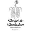 Through the Thunderstorm: A poetry through grief - Hardcover