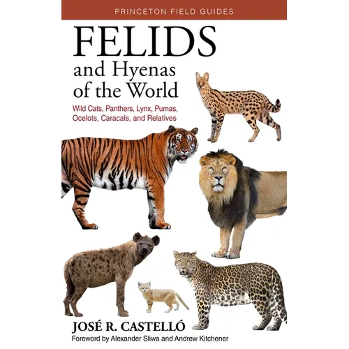 Felids and Hyenas of the World: Wildcats, Panthers, Lynx, Pumas, Ocelots, Caracals, and Relatives - Paperback