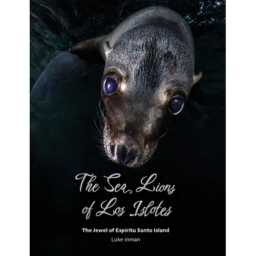 The Sea Lions of Los Islotes: The Jewel of Espíritu Santo Island - Paperback