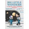 Big Little Wonders: A Collection of Never-Told-Before Adventures Fun Books for 6 - 8 Year Old Girls or Boys Cute Cat Bedtime Stories Devotional Morals - Paperback