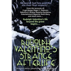 Rudolph Valentino's Strange Afterlife - Paperback