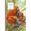 Atlas of Endangered Animals - Hardcover