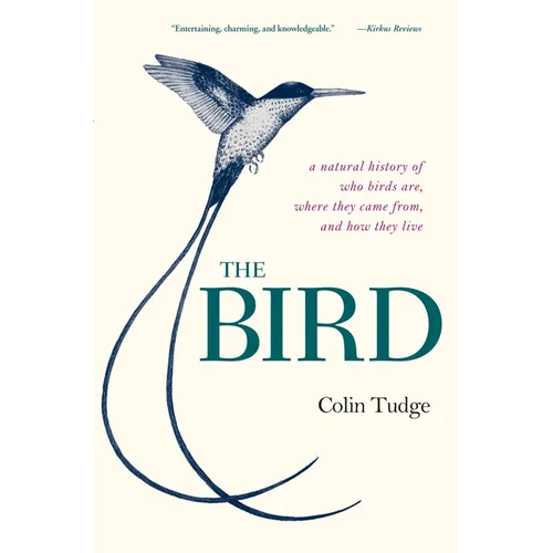 The Bird: A Natural History of Who Birds Are, Where They Came From, and How They Live - Paperback