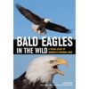Bald Eagles in the Wild: A Visual Essay of America's National Bird - Paperback
