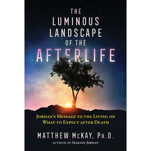 The Luminous Landscape of the Afterlife: Jordan's Message to the Living on What to Expect After Death - Paperback