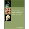 Companion to Paleopathology Ni - Paperback