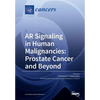 AR Signaling in Human Malignancies: Prostate Cancer and Beyond - Paperback