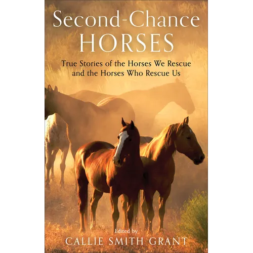 Second-Chance Horses: True Stories of the Horses We Rescue and the Horses Who Rescue Us - Paperback