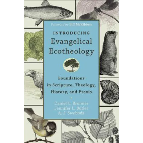 Introducing Evangelical Ecotheology: Foundations in Scripture, Theology, History, and PRAXIS - Paperback