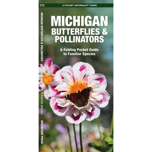 Michigan Butterflies & Pollinators: A Folding Pocket Guide to Familiar Species