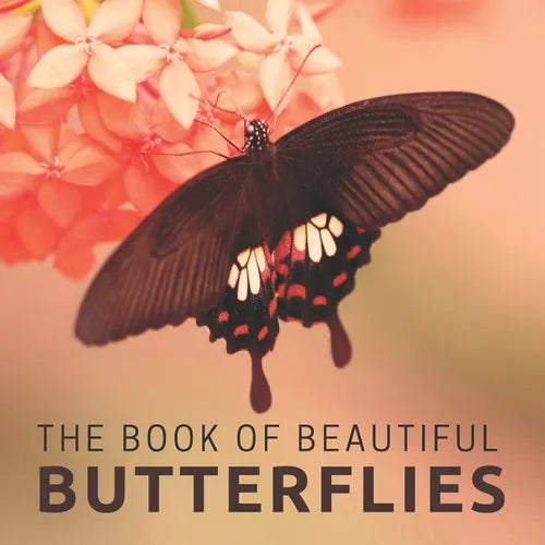 The Book Of Beautiful Butterflies: Picture Book For Seniors With Dementia (Alzheimer's) - Paperback
