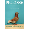 Pigeons: The Fascinating Saga of the World's Most Revered and Reviled Bird - Paperback