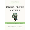 Incomplete Nature: How Mind Emerged from Matter - Paperback