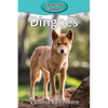 Dingoes - Paperback