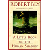 A Little Book on the Human Shadow - Paperback