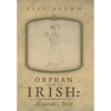 Orphan Among the Irish: Hanorah's Story - Hardcover