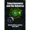 Consciousness and the Universe: Quantum Physics, Evolution, Brain & Mind - Paperback