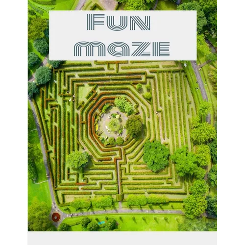 Maze Book - Easy to Moderate to Challenging Puzzles: Maze Puzzle Book - Easy to Moderate to Challenging Puzzles: with answers Maze Book Puzzlers for A - Paperback