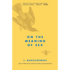 On the Meaning of Sex - Paperback