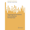 Topological Dynamics of Enveloping Semigroups - Paperback