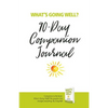 What's Going Well? Journal: 90-Day Companion Journal - Paperback