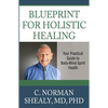 Blueprint for Holistic Healing: Your Practical Guide to Body-Mind-Spirit Health - Paperback