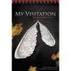 My Visitation: My Book of Poems Vol. 2 - Paperback