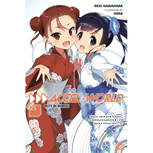 Accel World, Vol. 25 (Light Novel): Deity of Demise - Paperback