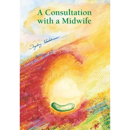 Consultation with a midwife: Sensitive, natural guidance through pregnancy, childbirth, childbed and breast-feeding - Paperback