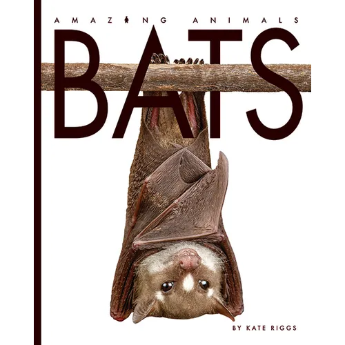 Bats - Paperback