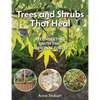 Trees and Shrubs That Heal: Reconnecting with the Medicinal Forest - Paperback