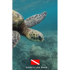 Diver's Log Book: scuba diving log book 100 dives - Paperback