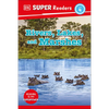 DK Super Readers Level 4 Rivers, Lakes, and Marshes - Hardcover