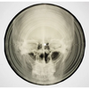 Bone Music: Soviet X-Ray Audio - Paperback