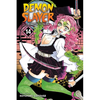 Demon Slayer: Kimetsu No Yaiba, Vol. 14: The Mu of Muichiro - Paperback