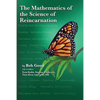 The Mathematics of the Science of Reincarnation: The Matrix of Consciousness - Paperback