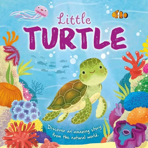 Nature Stories: Little Turtle-Discover an Amazing Story from the Natural World: Padded Board Book - Board Book