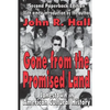 Gone from the Promised Land: Jonestown in American Cultural History - Paperback