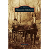 Siloam Springs - Hardcover