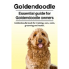 Goldendoodle. Essential guide for Goldendoodle owners. Goldendoodle book for training, care, costs, grooming and health. - Paperback