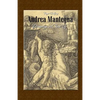 Andrea Mantegna: Drawings in Close Up - Paperback