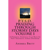 P.T.S.D. Praising Through Stormy Days Volume 1: A Spirtual Clapback to Post Traumatic Stress Disorder - Paperback