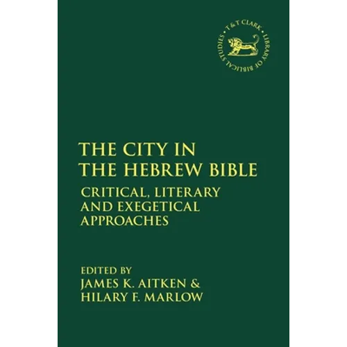 The City in the Hebrew Bible: Critical, Literary and Exegetical Approaches - Paperback