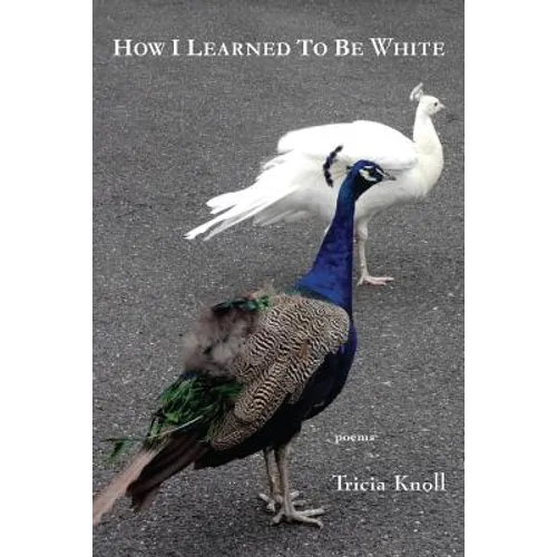 How I Learned to Be White - Paperback