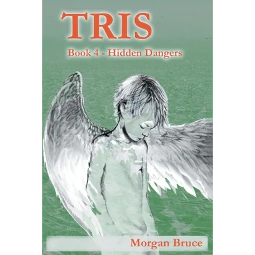 Tris 4: Hidden Dangers - Paperback