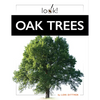 Oak Trees - Paperback