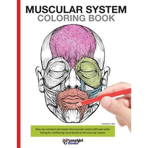 Muscular System Coloring Book: Now you can learn and master the muscular system with ease while having fun - Paperback
