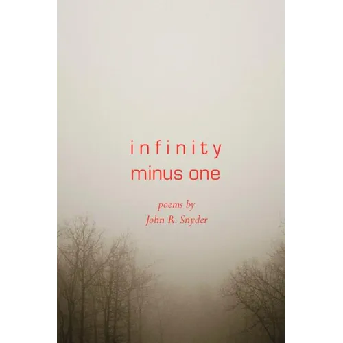 Infinity Minus One - Paperback